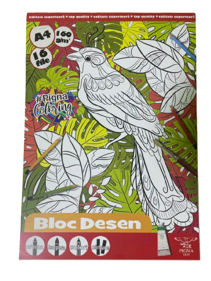 🦜 Bloc Desen A4 – Pigna